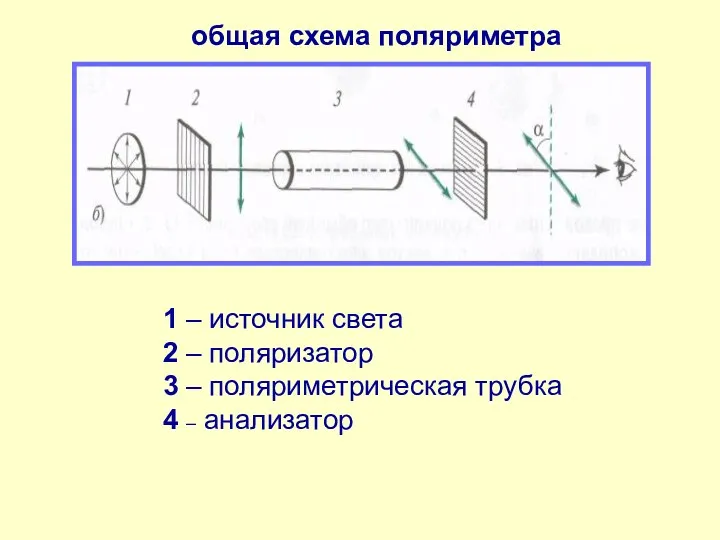 общая схема поляриметра 1 – источник света 2 – поляризатор