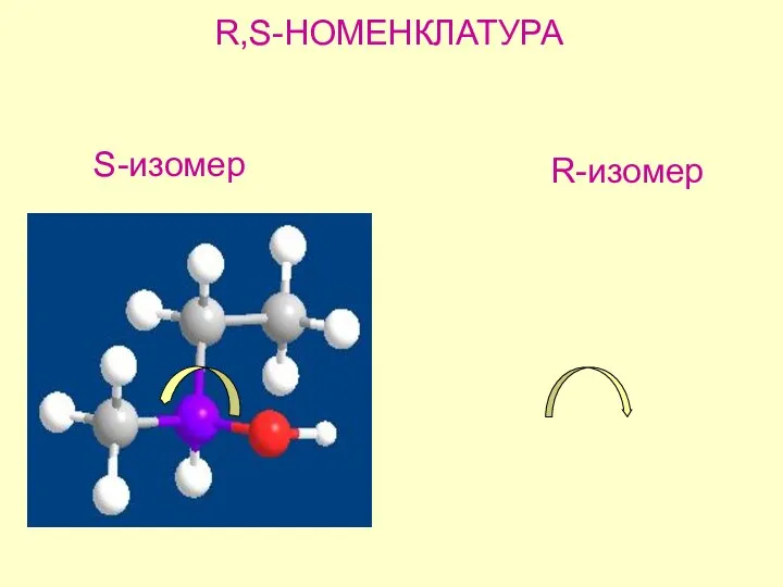 R,S-НОМЕНКЛАТУРА S-изомер R-изомер
