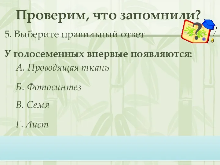 Проверим, что запомнили? 5. Выберите правильный ответ У голосеменных впервые