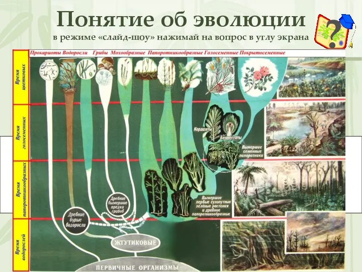 Понятие об эволюции в режиме «слайд-шоу» нажимай на вопрос в