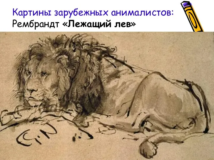 Картины зарубежных анималистов: Рембрандт «Лежащий лев»