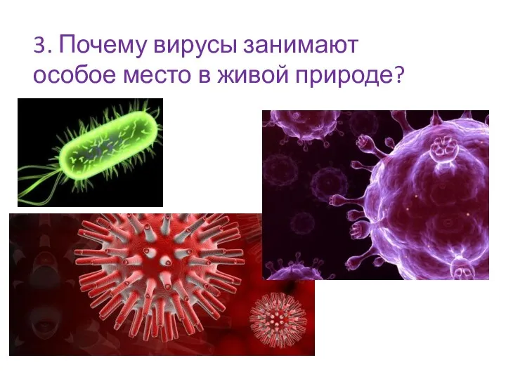 3. Почему вирусы занимают особое место в живой природе?