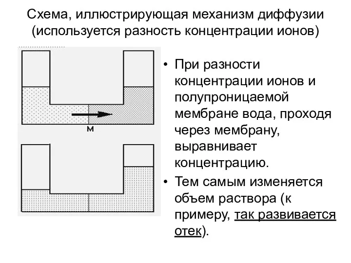 Схема, иллюстрирующая механизм диффузии (используется разность концентрации ионов) При разности