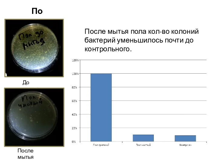 Пол После мытья пола кол-во колоний бактерий уменьшилось почти до контрольного. До мытья После мытья