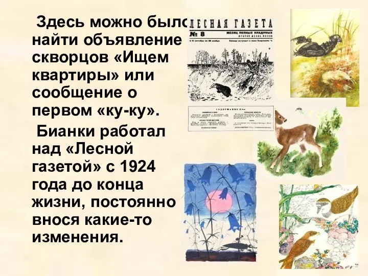 Здесь можно было найти объявление скворцов «Ищем квартиры» или сообщение о первом «ку-ку».