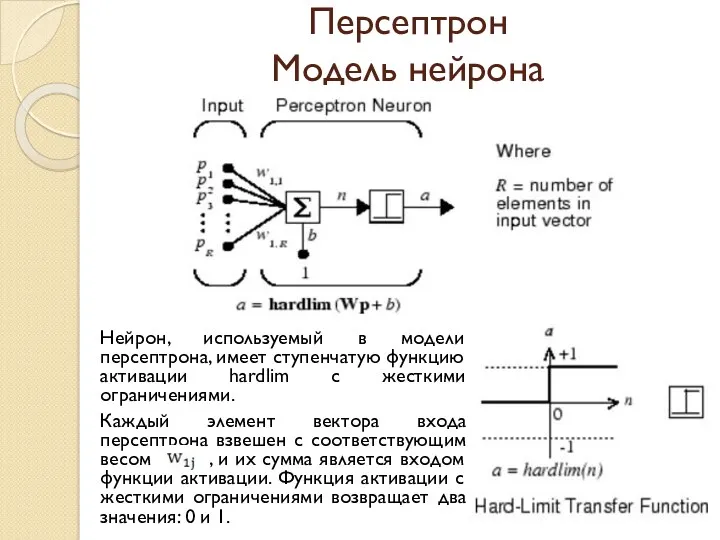 Персептрон Модель нейрона Нейрон, используемый в модели персептрона, имеет ступенчатую функцию активации hardlim