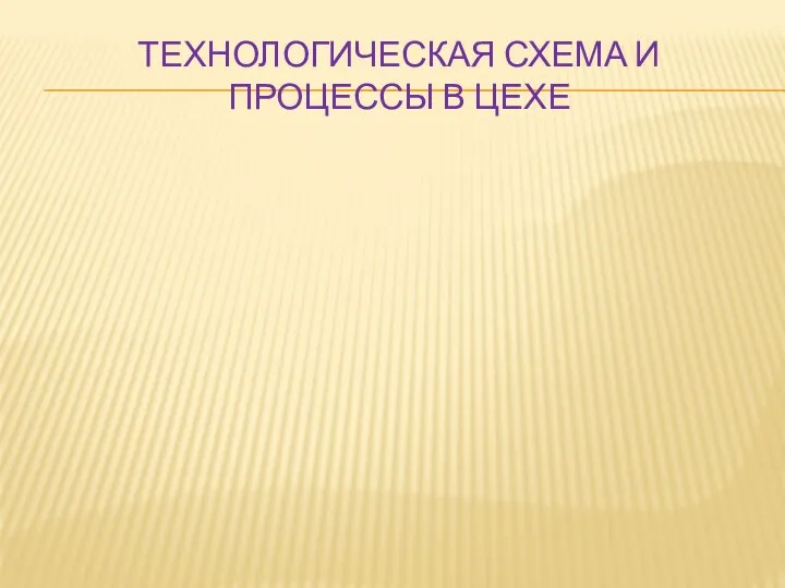 ТЕХНОЛОГИЧЕСКАЯ СХЕМА И ПРОЦЕССЫ В ЦЕХЕ