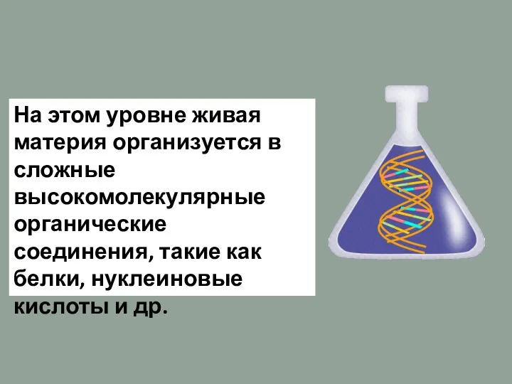 На этом уровне живая материя организуется в слож­ные высокомолекулярные органические