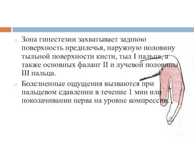 Зона гипестезии захватывает заднюю поверхность предплечья, наружную половину тыльной поверхности