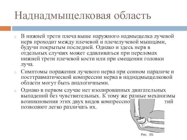 Наднадмыщелковая область В нижней трети плеча выше наружного надмыщелка лучевой