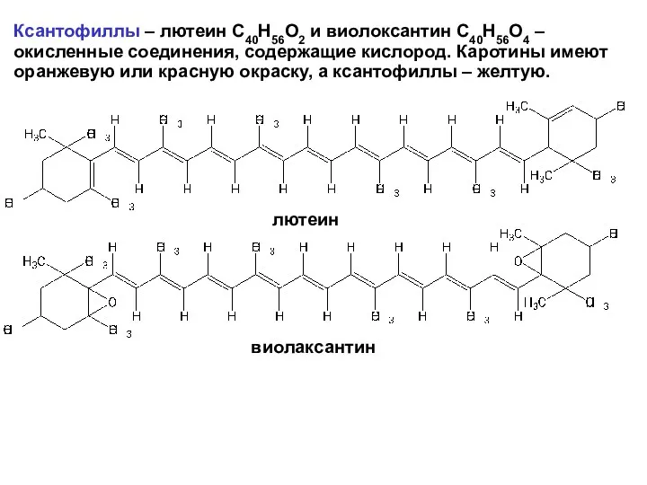 Ксантофиллы – лютеин С40Н56О2 и виолоксантин С40Н56О4 –окисленные соединения, содержащие