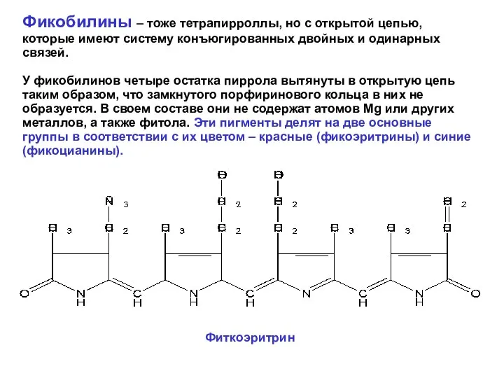 Фикобилины – тоже тетрапирроллы, но с открытой цепью, которые имеют