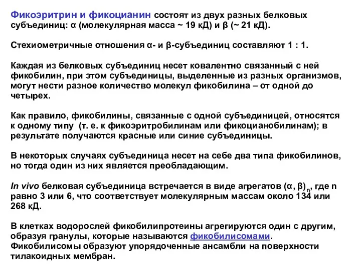 Фикоэритрин и фикоцианин состоят из двух разных белковых субъединиц: α