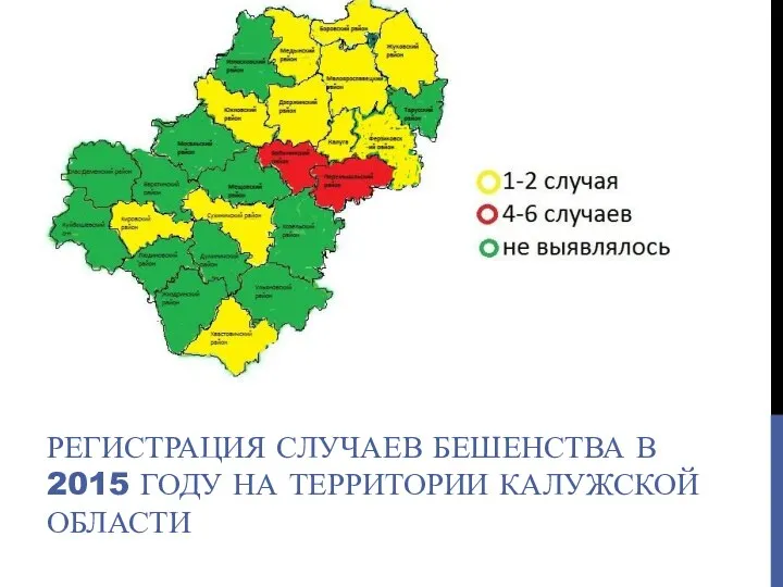 РЕГИСТРАЦИЯ СЛУЧАЕВ БЕШЕНСТВА В 2015 ГОДУ НА ТЕРРИТОРИИ КАЛУЖСКОЙ ОБЛАСТИ