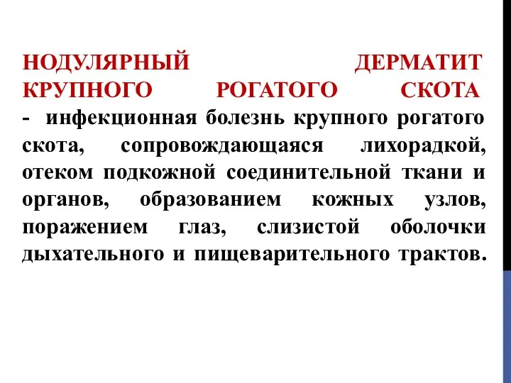 НОДУЛЯРНЫЙ ДЕРМАТИТ КРУПНОГО РОГАТОГО СКОТА - инфекционная болезнь крупного рогатого скота, сопровождающаяся лихорадкой,