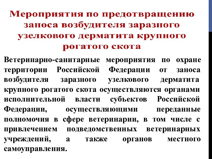 Ветеринарно-санитарные мероприятия по охране территории Российской Федерации от заноса возбудителя заразного узелкового дерматита