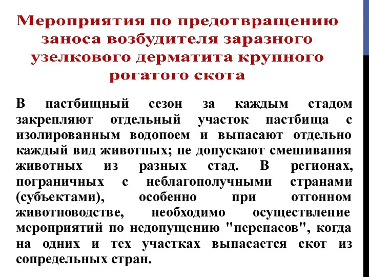 В пастбищный сезон за каждым стадом закрепляют отдельный участок пастбища с изолированным водопоем