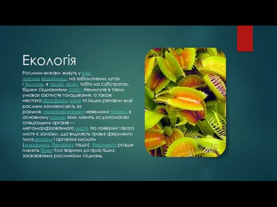 Екологія Рослини-хижаки живуть у воді прісних водоймищ, на заболочених лугах