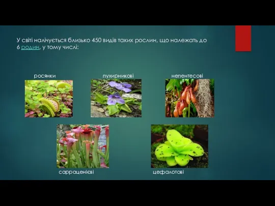 У світі налічується близько 450 видів таких рослин, що належать