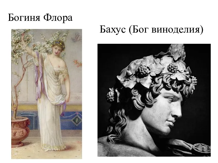Бахус (Бог виноделия) Богиня Флора