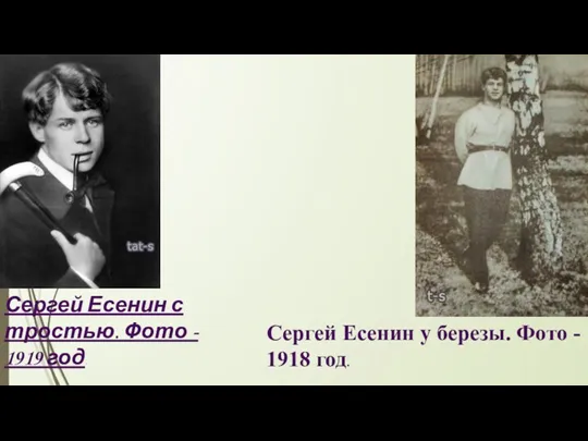 Сергей Есенин у березы. Фото - 1918 год. Сергей Есенин с тростью. Фото - 1919 год.
