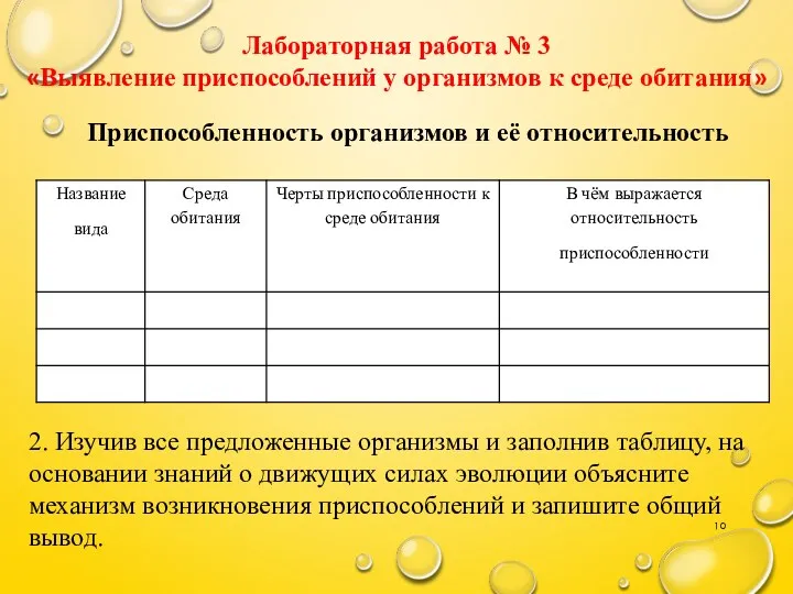 Лабораторная работа № 3 «Выявление приспособлений у организмов к среде