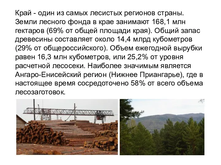 Край - один из самых лесистых регионов страны. Земли лесного