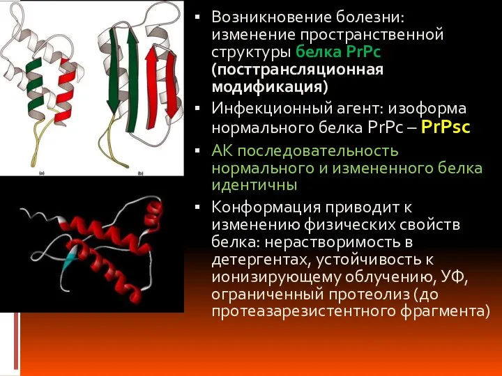 Возникновение болезни: изменение пространственной структуры белка PrPc (посттрансляционная модификация) Инфекционный