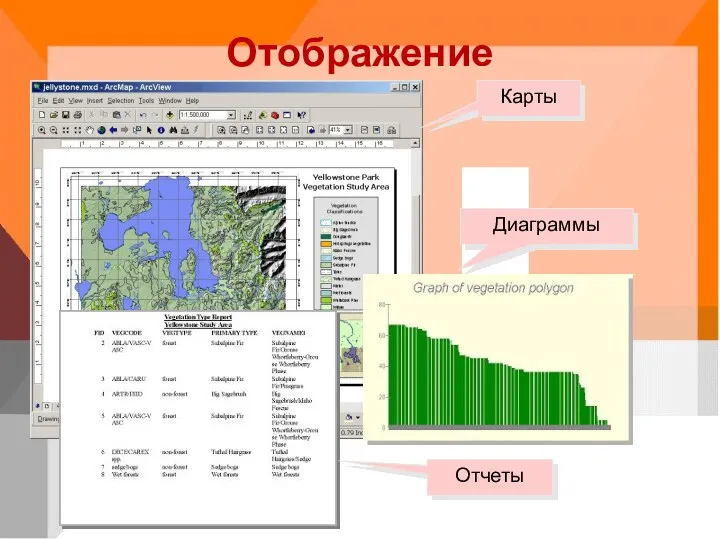 Отображение Карты Диаграммы Отчеты