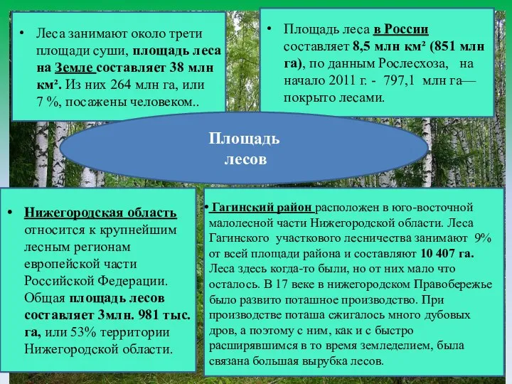 Леса занимают около трети площади суши, площадь леса на Земле