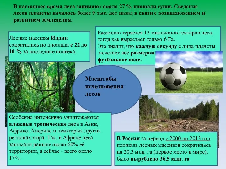 В настоящее время леса занимают около 27 % площади суши.