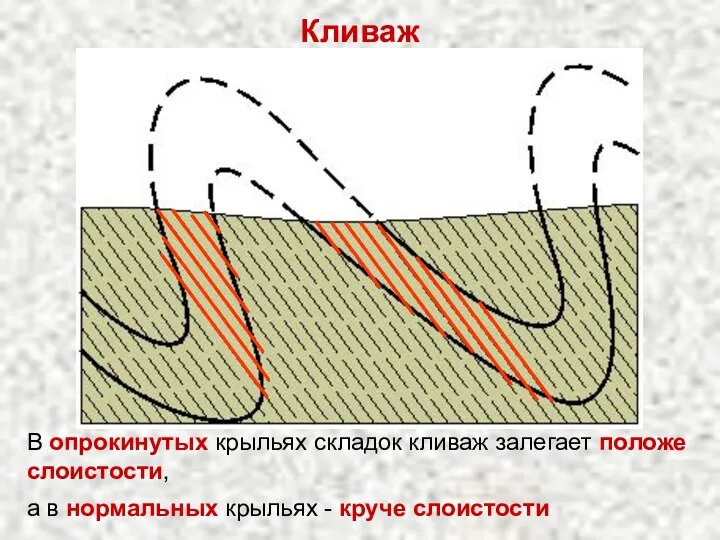 Кливаж В опрокинутых крыльях складок кливаж залегает положе слоистости, а в нормальных крыльях - круче слоистости