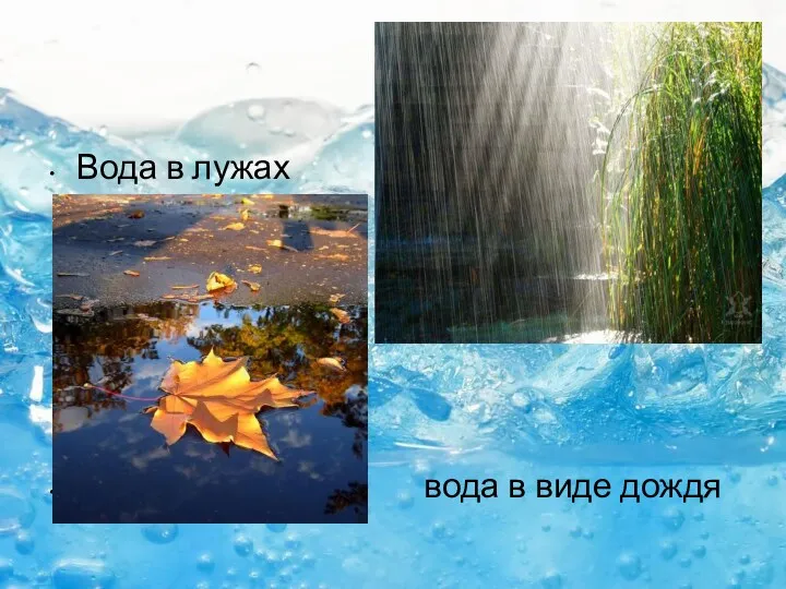 Вода в лужах вода в виде дождя