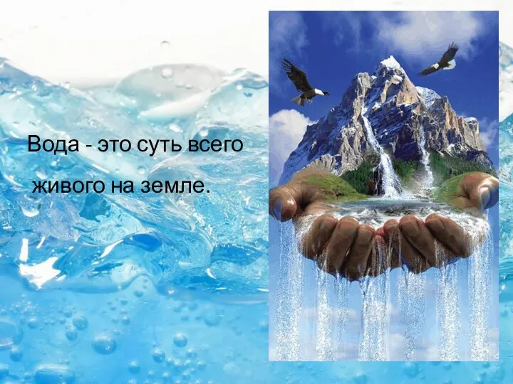 Вода - это суть всего живого на земле.