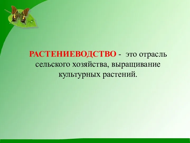 РАСТЕНИЕВОДСТВО - это отрасль сельского хозяйства, выращивание культурных растений.