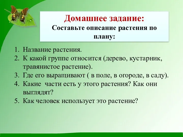 Домашнее задание: Составьте описание растения по плану: Название растения. К какой группе относится