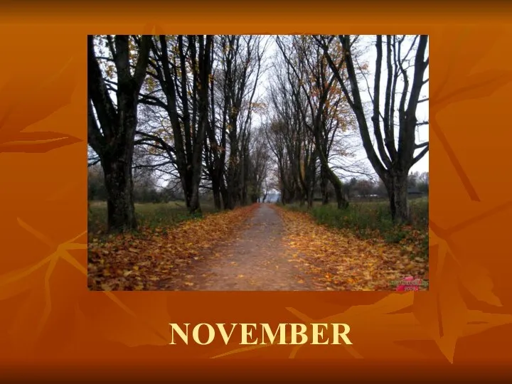 NOVEMBER