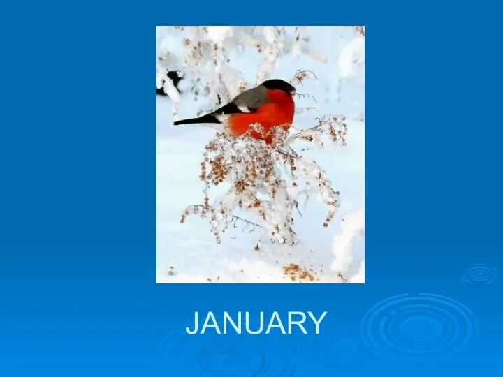 JANUARY