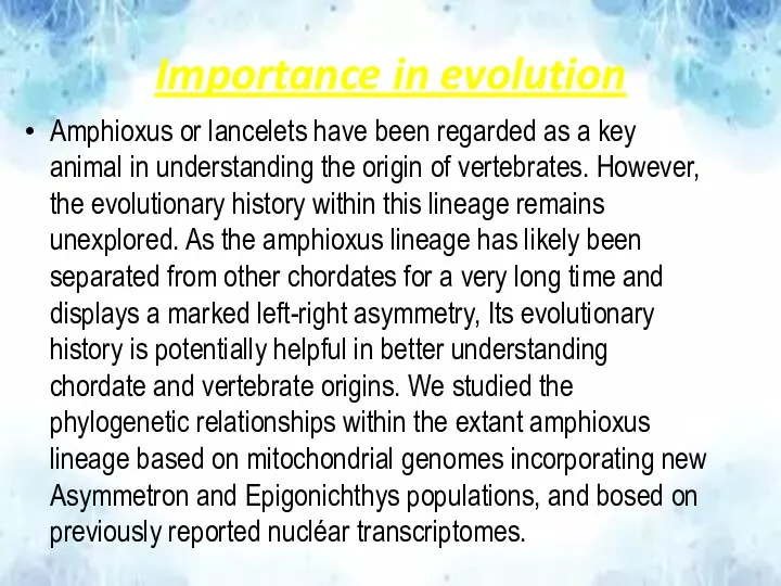 Importance in evolution Amphioxus or lancelets have been regarded as