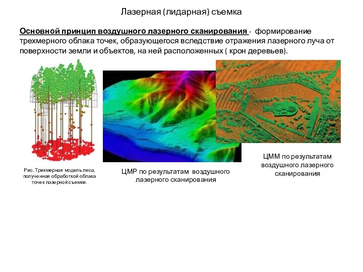 Рис. Трехмерная модель леса, полученная обработкой облака точек лазерной съемки.