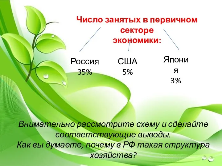 Число занятых в первичном секторе экономики: Россия 35% США 5%