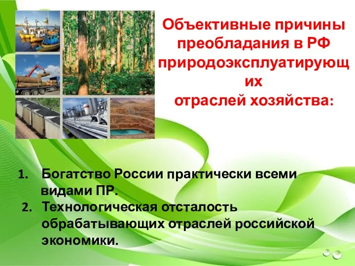 Объективные причины преобладания в РФ природоэксплуатирующих отраслей хозяйства: Богатство России