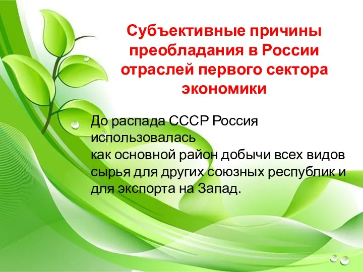 Субъективные причины преобладания в России отраслей первого сектора экономики До