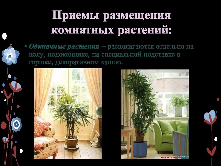 Приемы размещения комнатных растений: Одиночные растения – располагаются отдельно на
