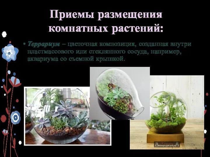Приемы размещения комнатных растений: Террариум – цветочная композиция, созданная внутри пластмассового или стеклянного