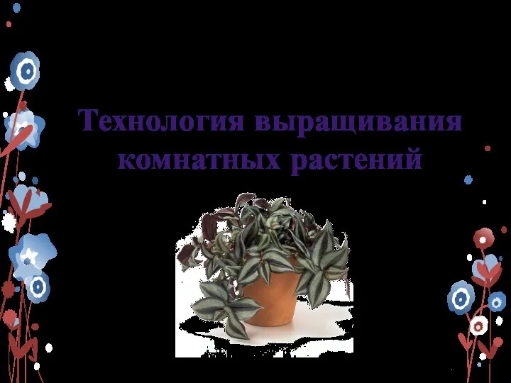 Технология выращивания комнатных растений