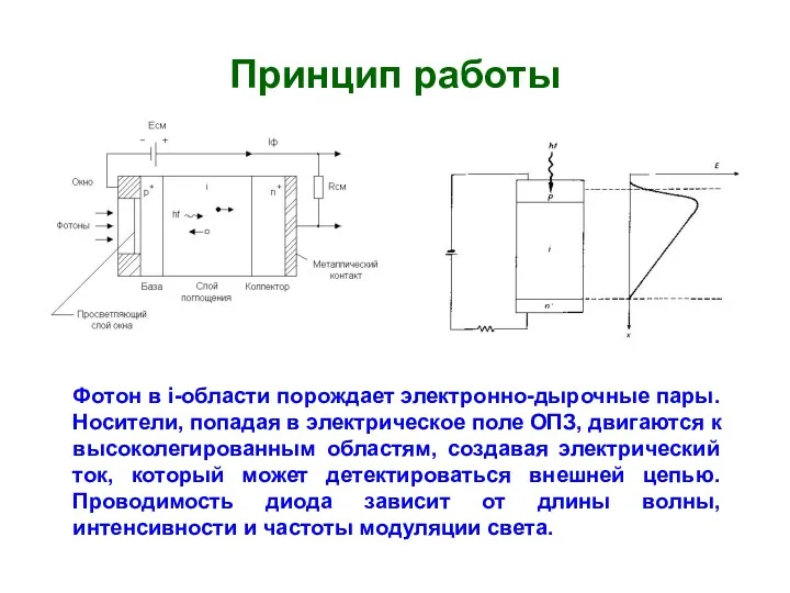 Принцип работы Фотон в i-области порождает электронно-дырочные пары. Носители, попадая