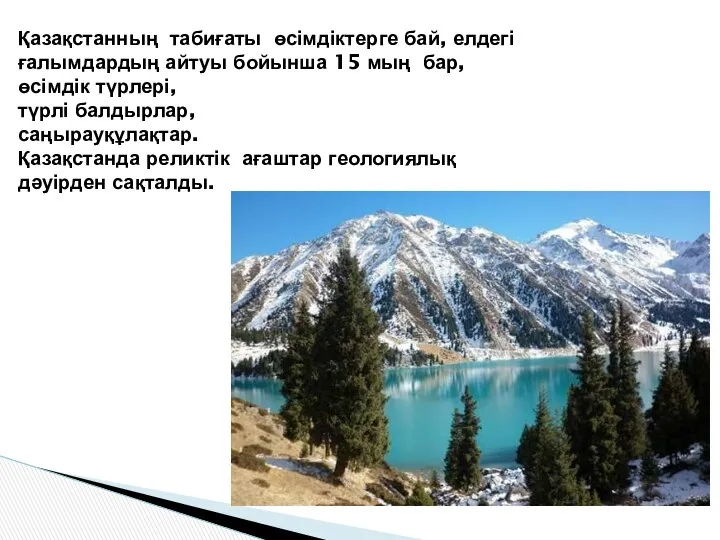 Қазақстанның табиғаты өсімдіктерге бай, елдегі ғалымдардың айтуы бойынша 15 мың