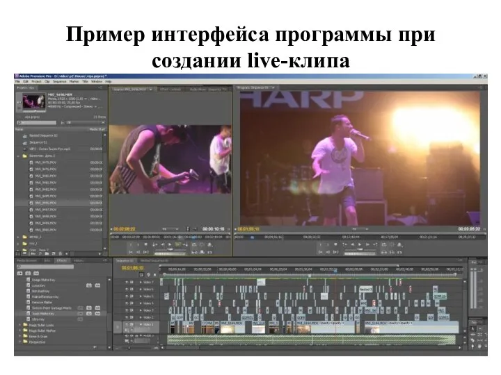 Пример интерфейса программы при создании live-клипа