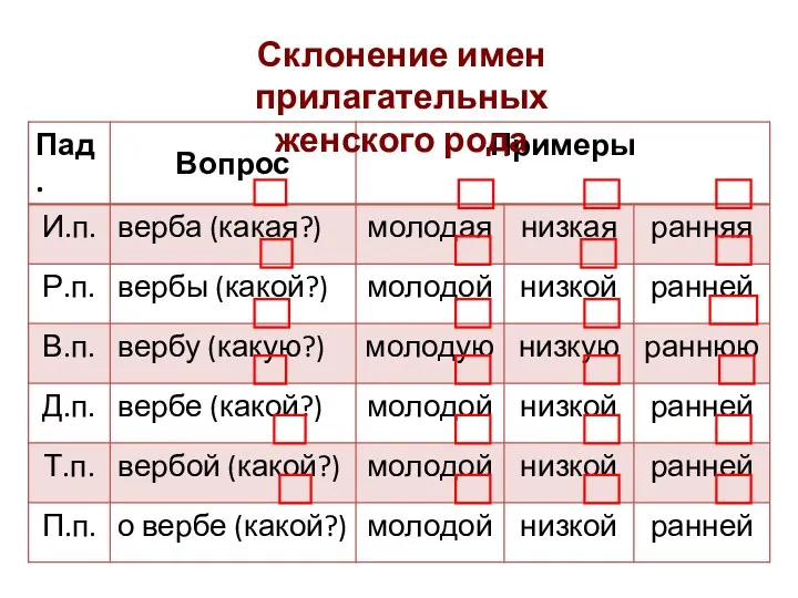 Склонение имен прилагательных женского рода